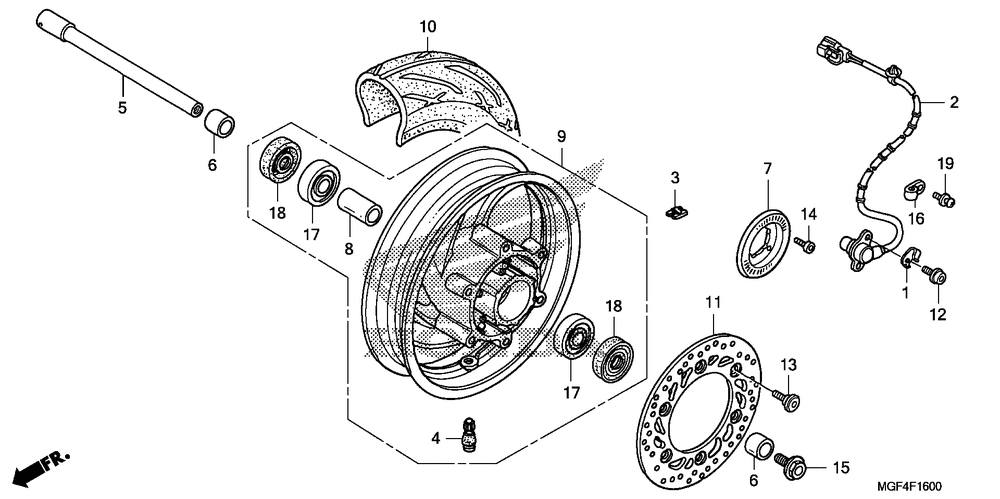 Front wheel