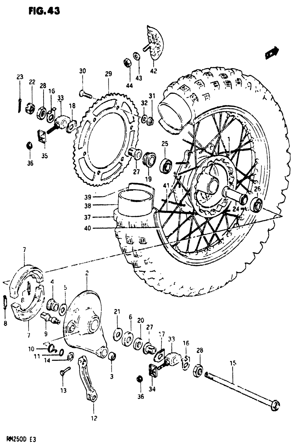 Rear wheel (model z)