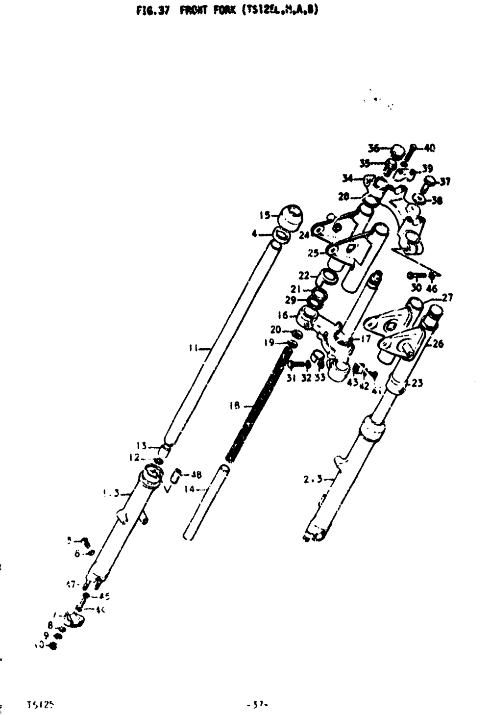 Front fork (ts125l