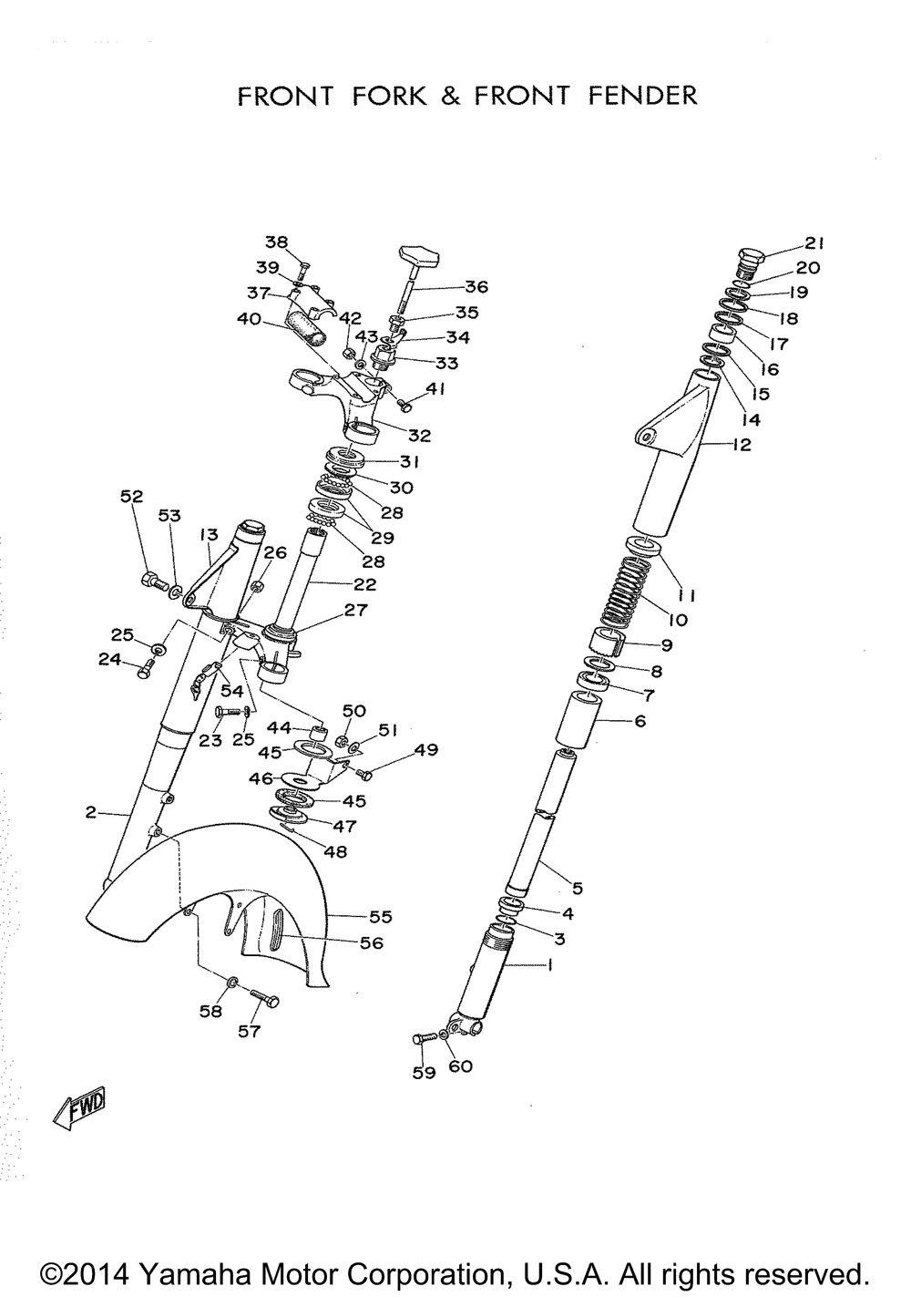 Front fork and fender